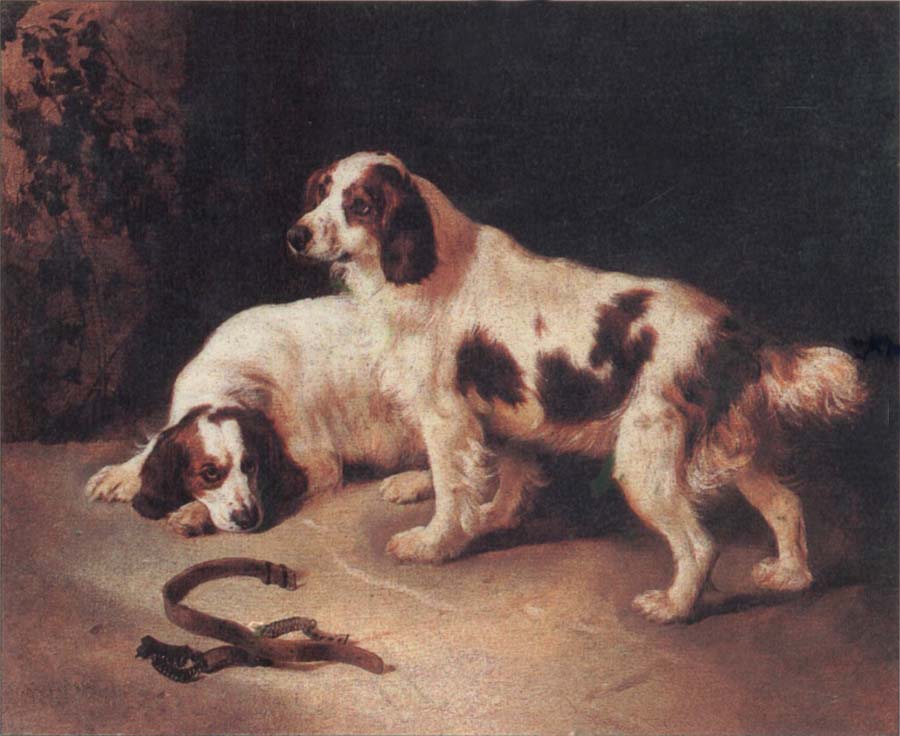 Brittany Spaniels